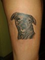 /album/tattoo-real-airbrush-/a1009994-697372523658657-1431500899-n-jpg/